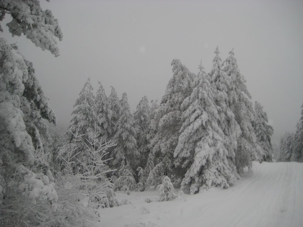 Фотография автора Елена Александрова