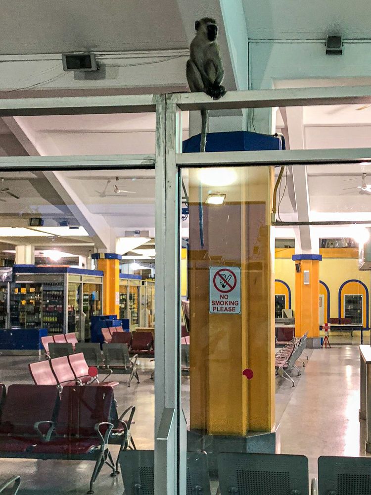 Фотография автора Emi D