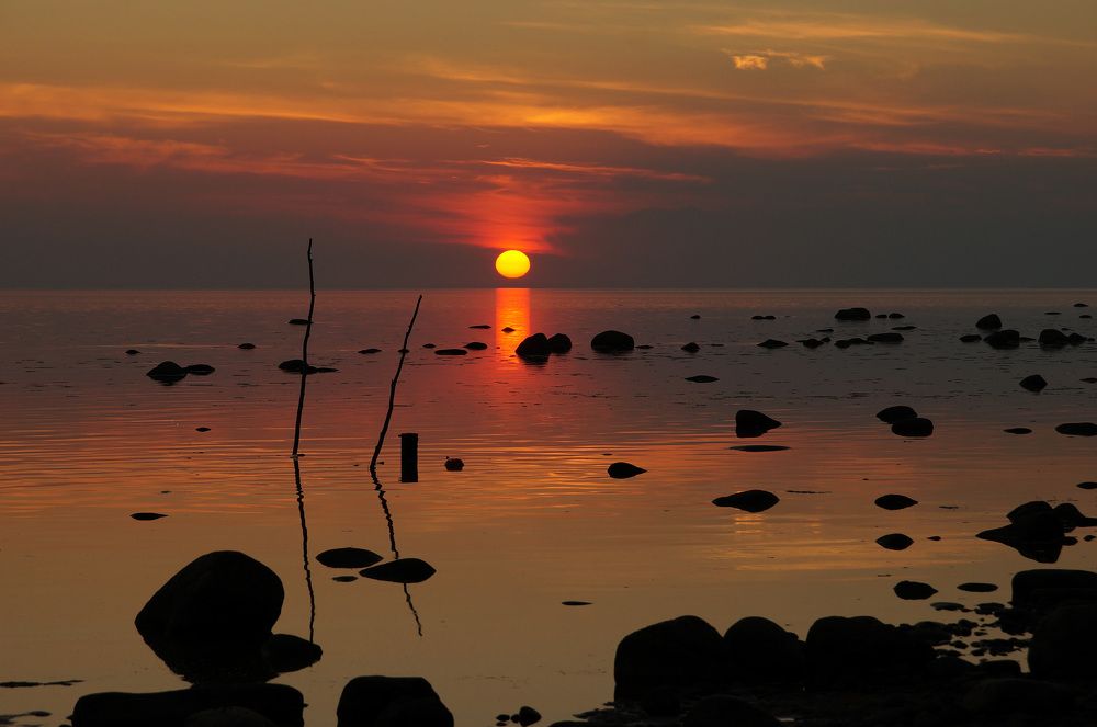 Photograph by Игорь Тамми