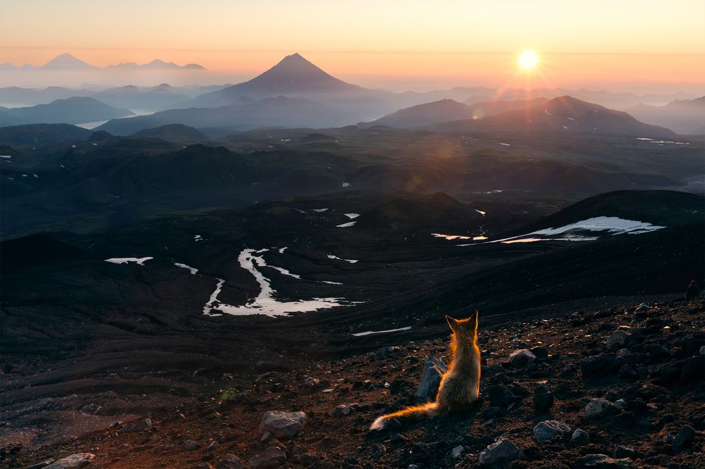 Photograph by Александр Телешов