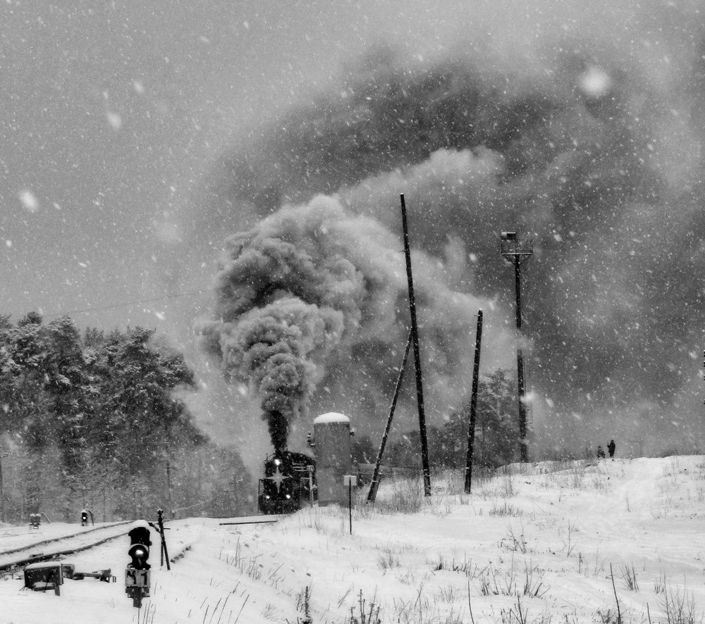 Photograph by Екатерина Салий