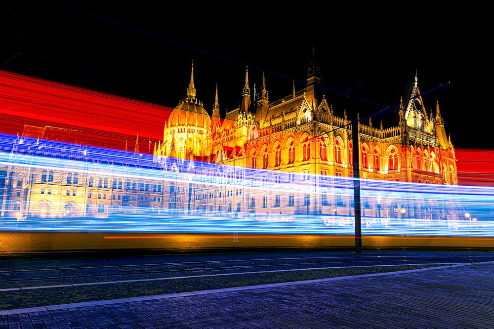 Фотография автора Faller Tamás