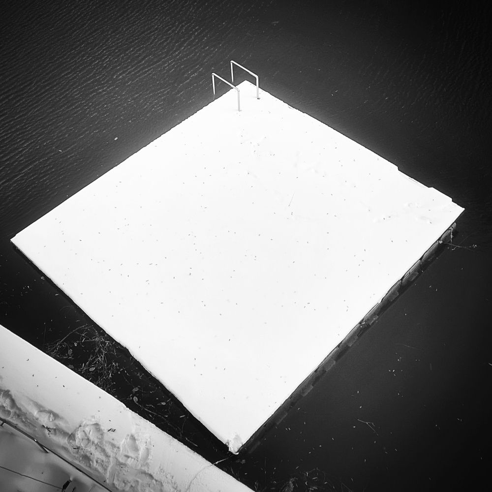 Photograph by Кривенко Владимир