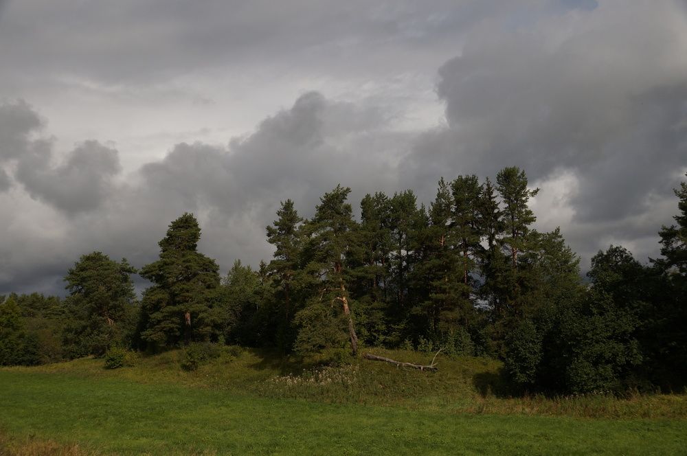 Photograph by Игорь Тамми