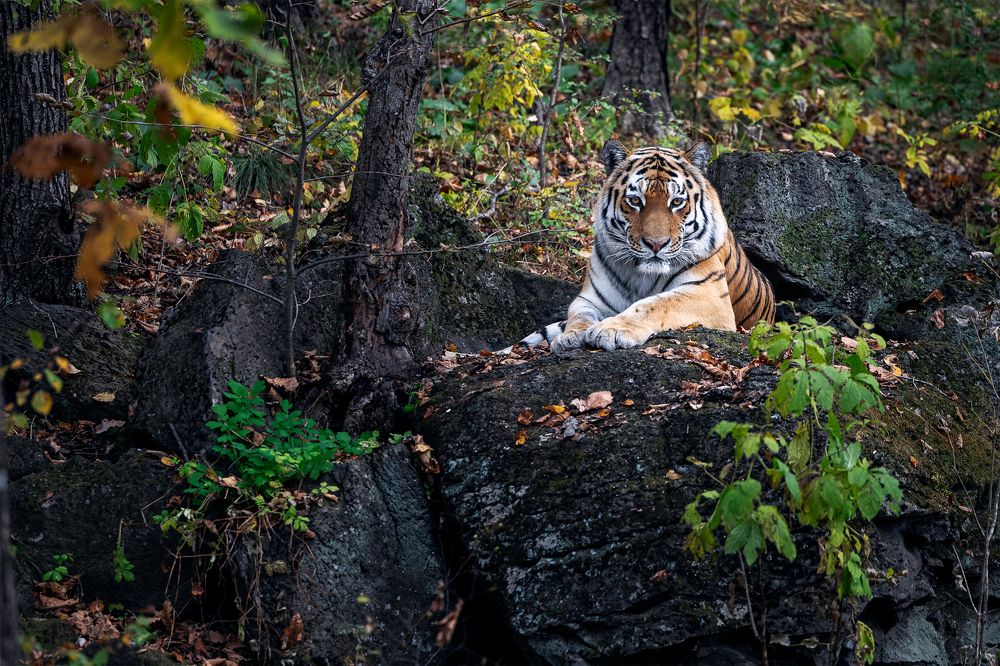 Photograph by Александр Телешов