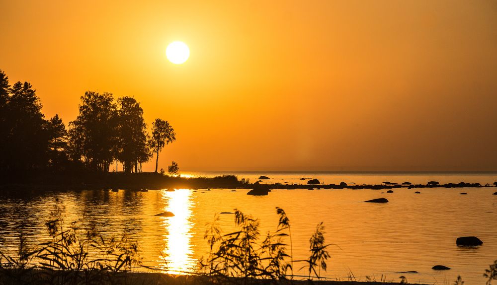 Photograph by Игорь Тамми