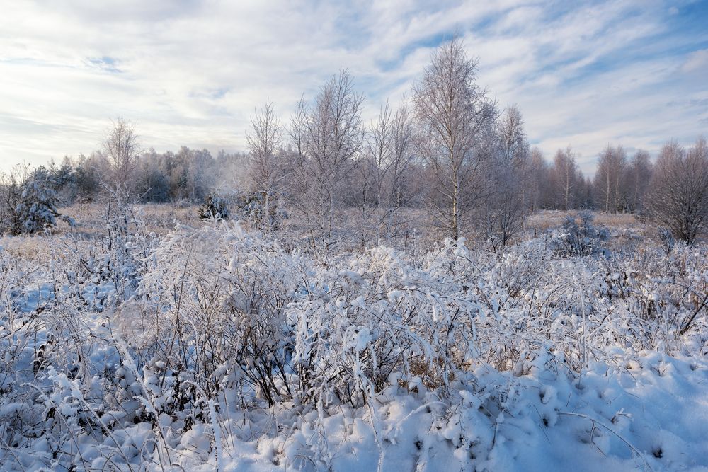 Photograph by Олег Каленин