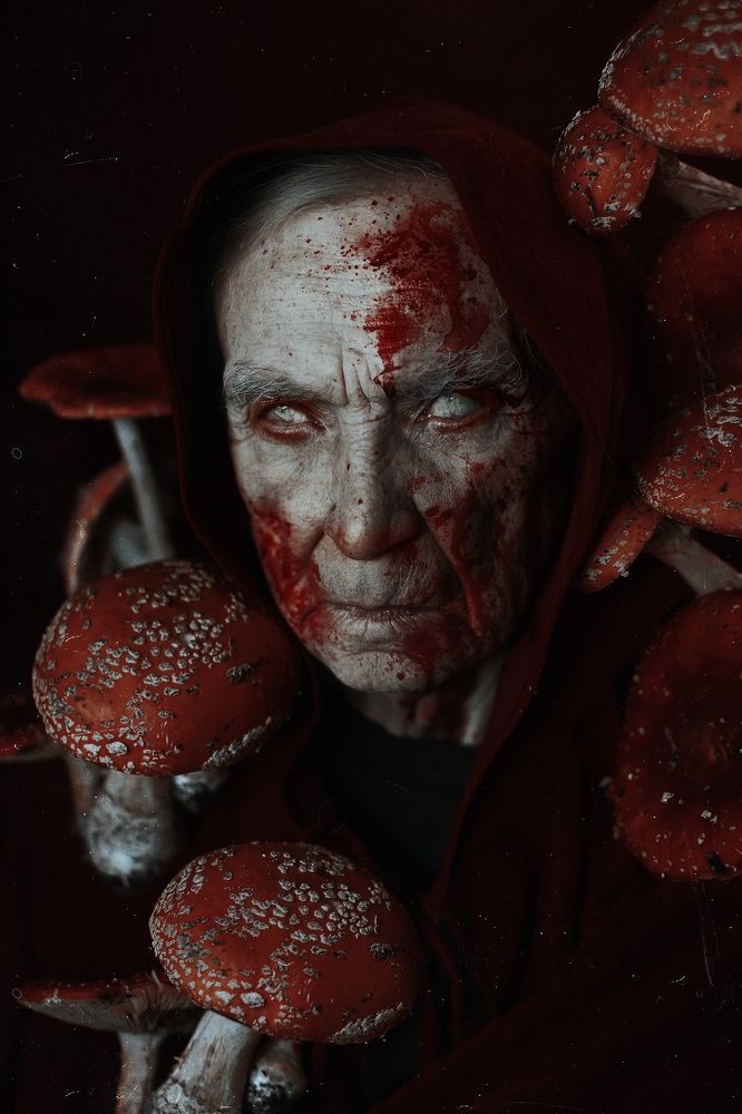 Фотография автора Ippolitova Nina