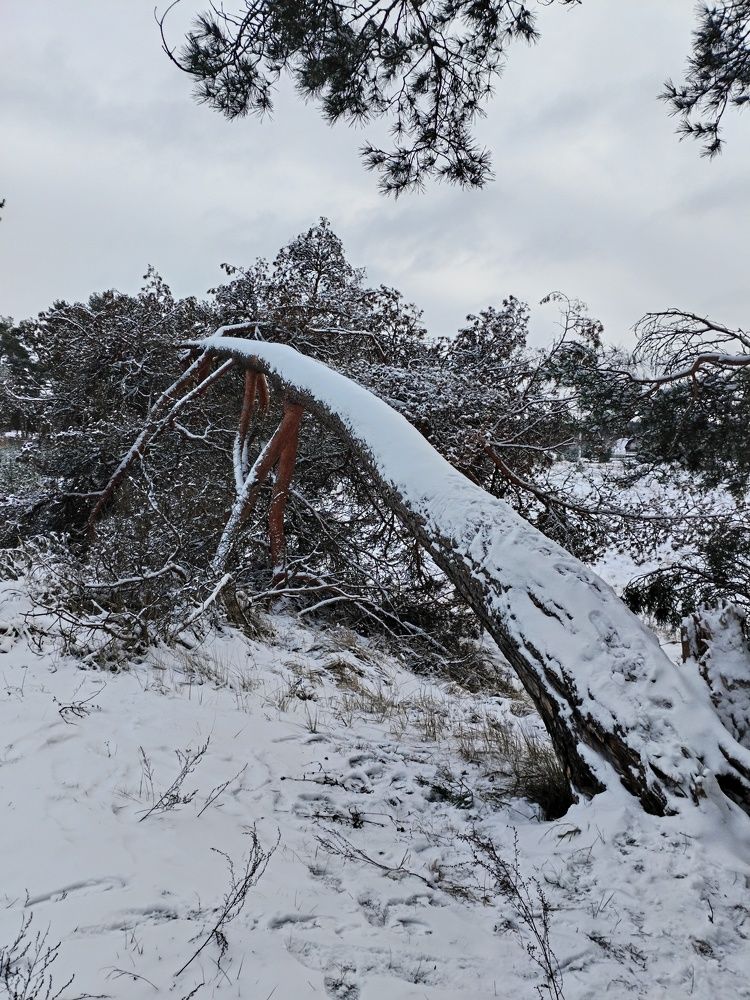 Photograph by Юлия Ю.