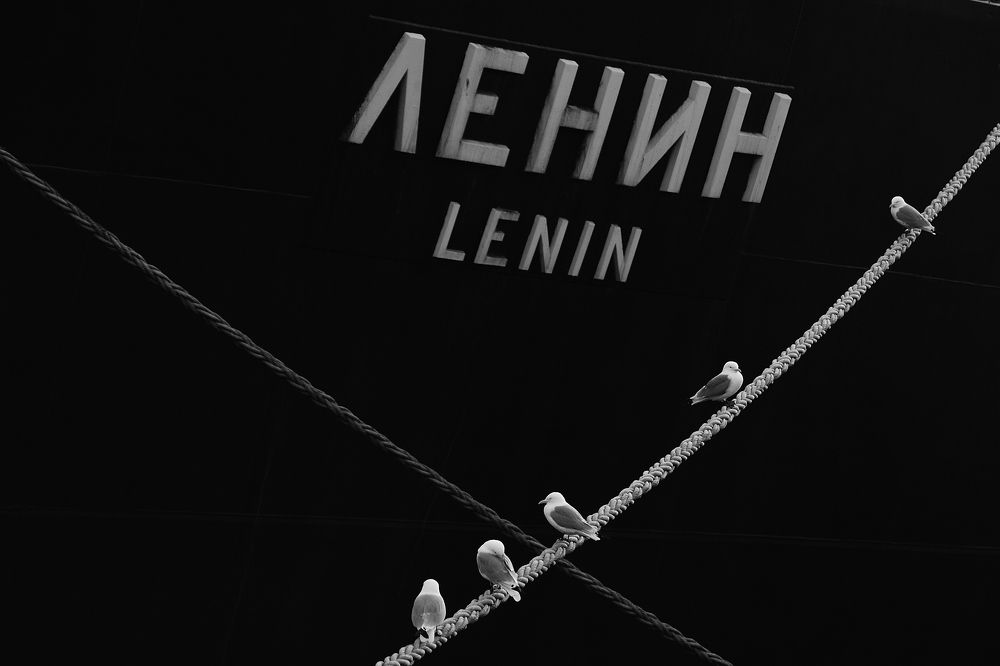 Ленин и чайки