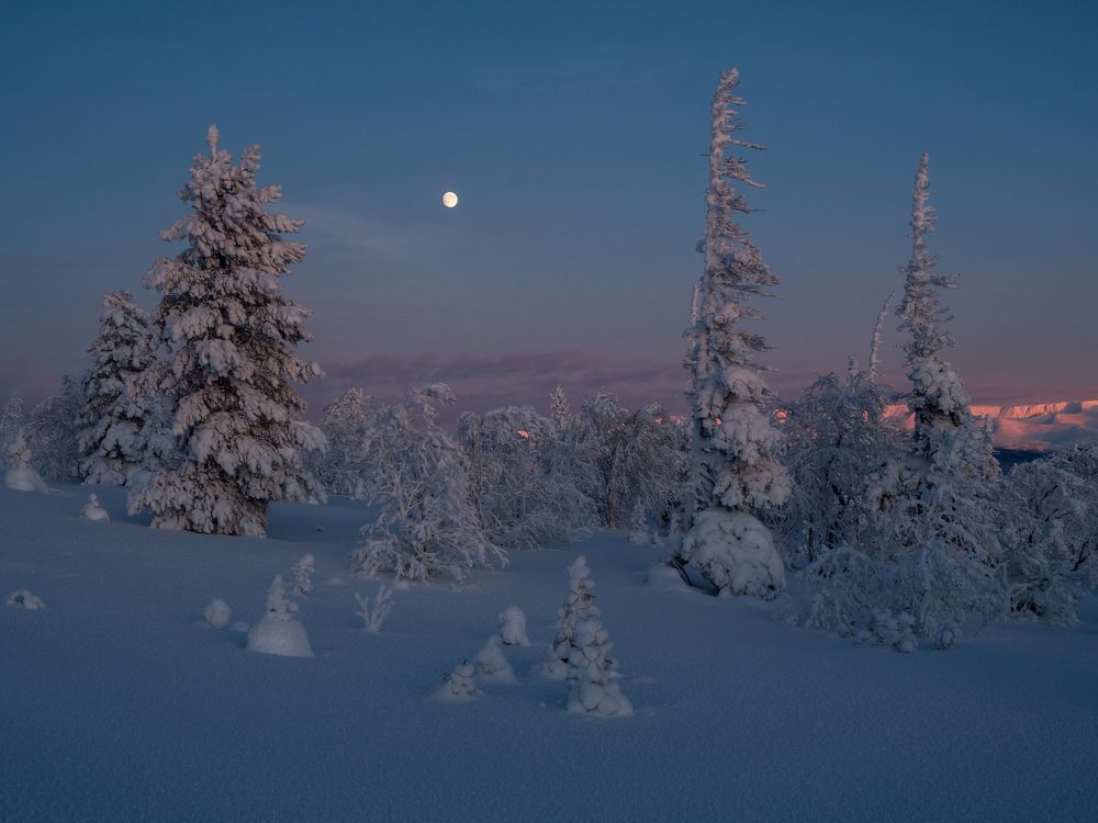 Photograph by Шейко Анна