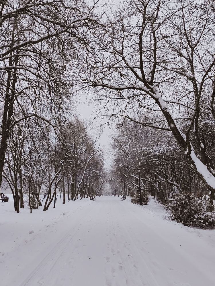Photograph by Veranika Siratsinina