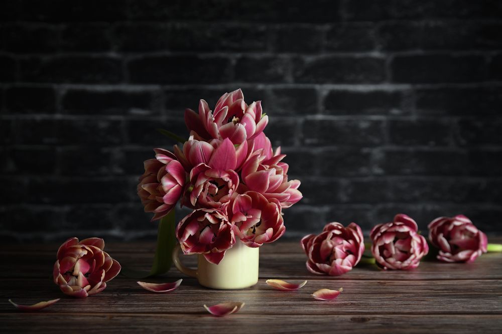 Photograph by Анна Штабель