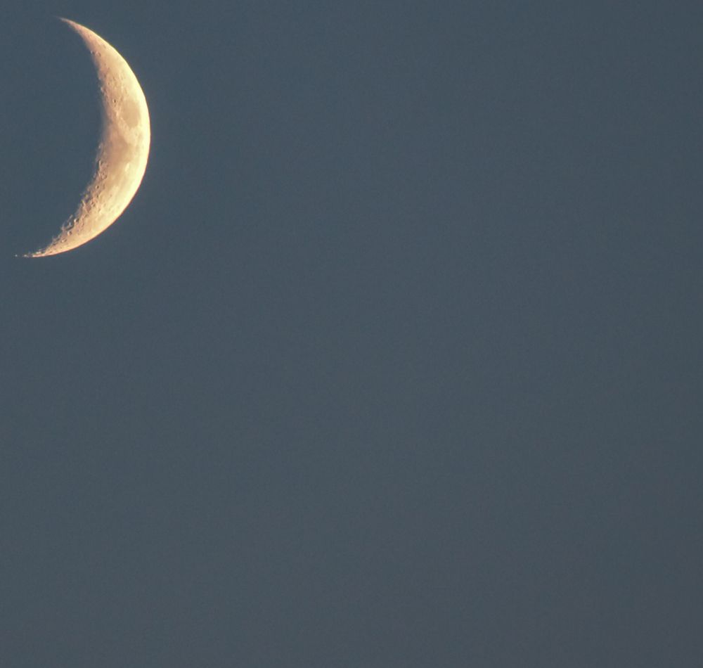 Photograph by Ольга Андронова