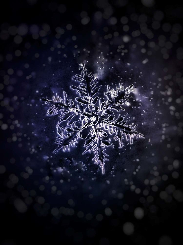 Photograph by Сергей Назаредский