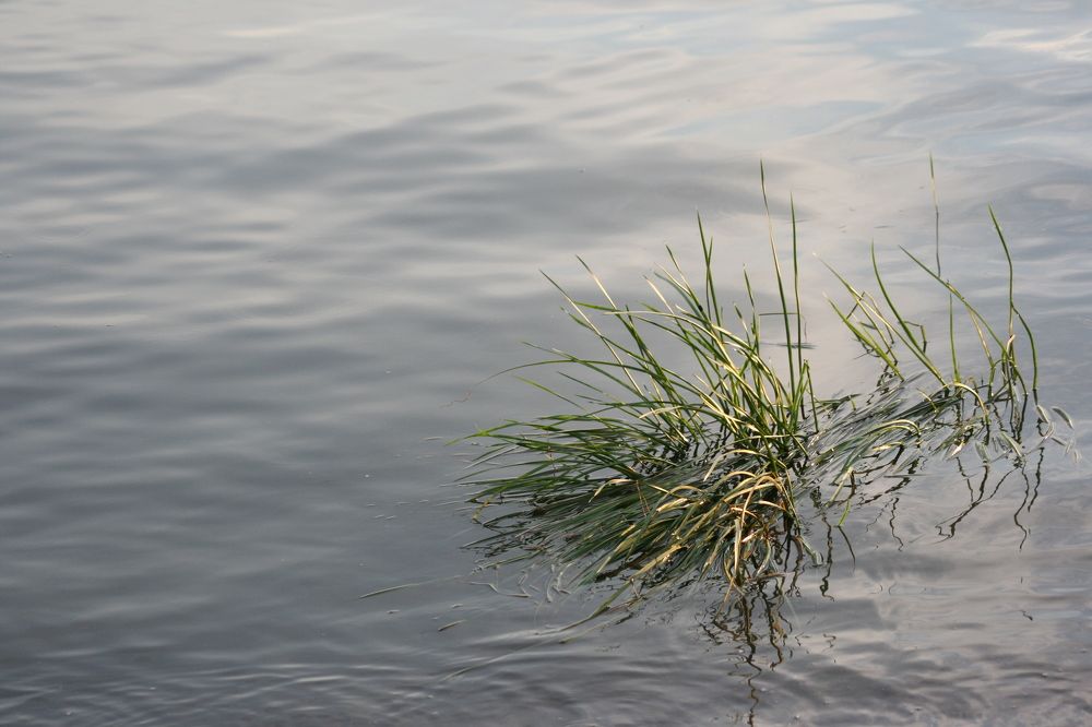 Photograph by Ирина Вассерлауф