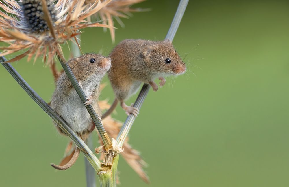 Фотография автора MARIA KULA