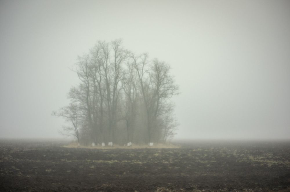 Photograph by Крупченко Роман