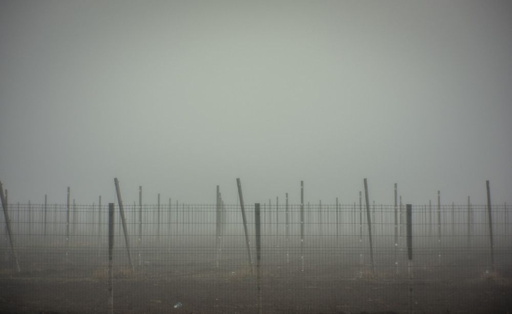 Photograph by Крупченко Роман