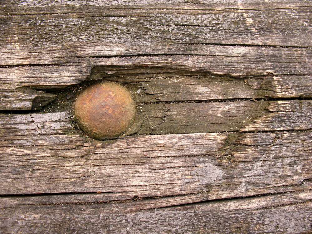 Фотография автора Евгений