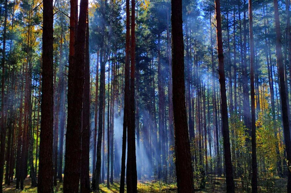 Photograph by Катер
