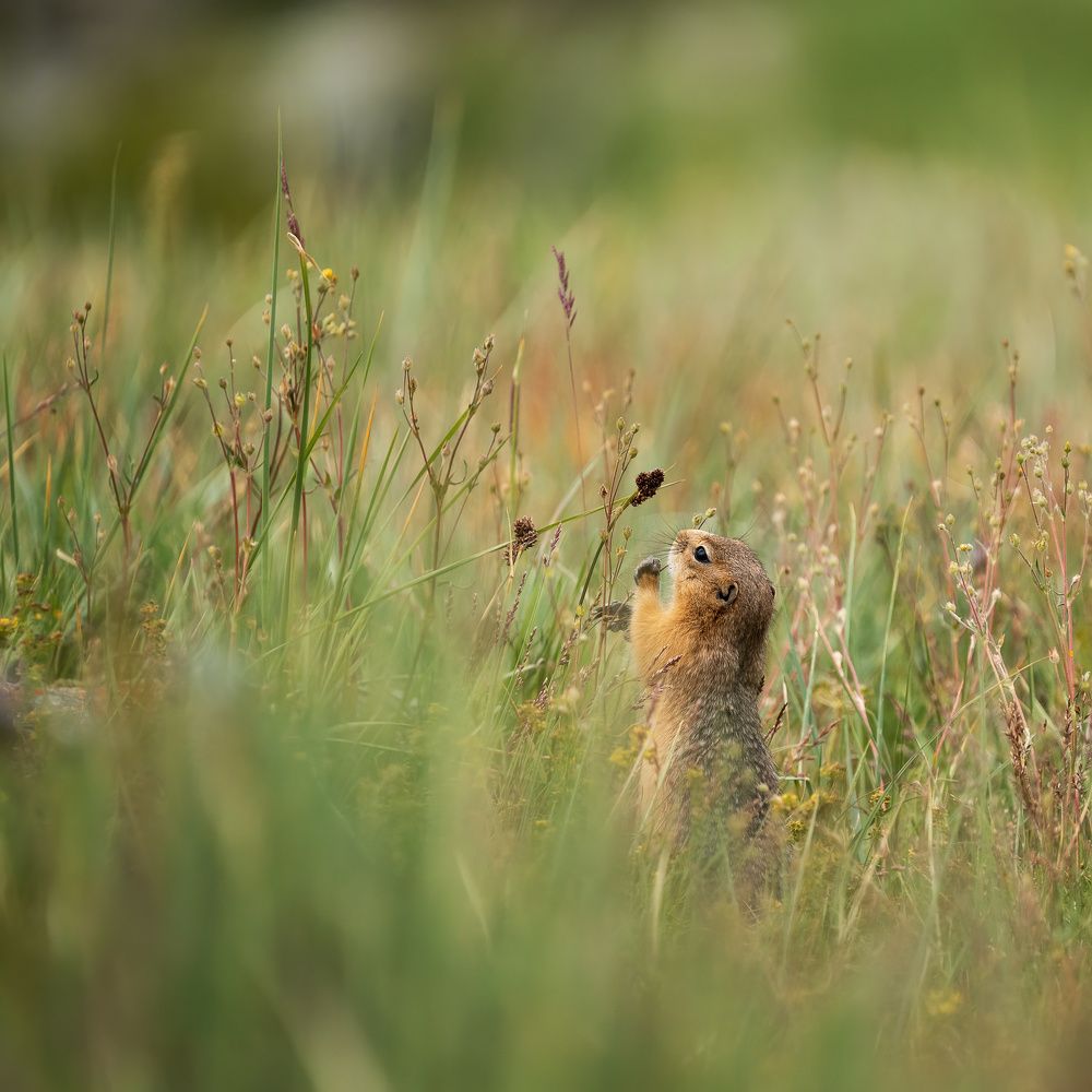 Photograph by Ирина Петрова