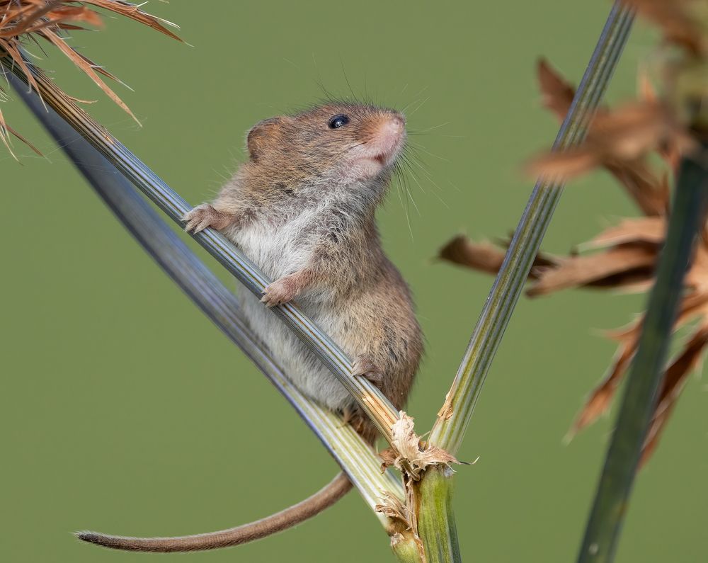 Фотография автора MARIA KULA