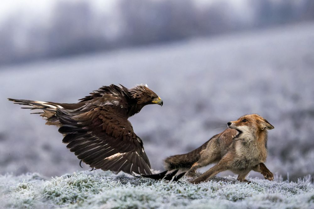 Photograph by Ruzhdi Ibrahimi