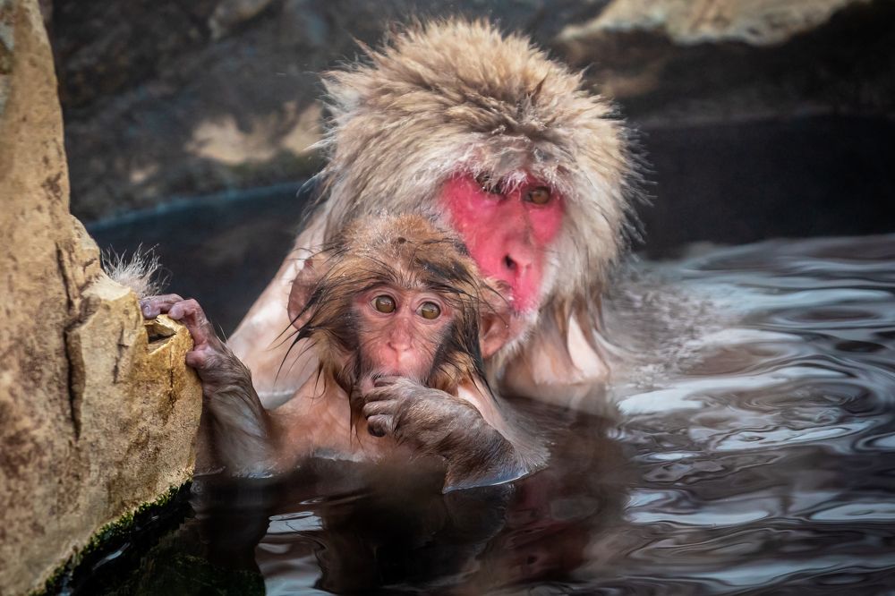 Photograph by Vita Potomova