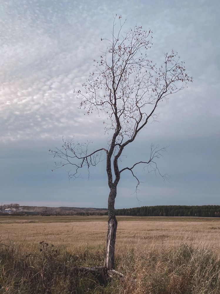 Photograph by Anna Chub