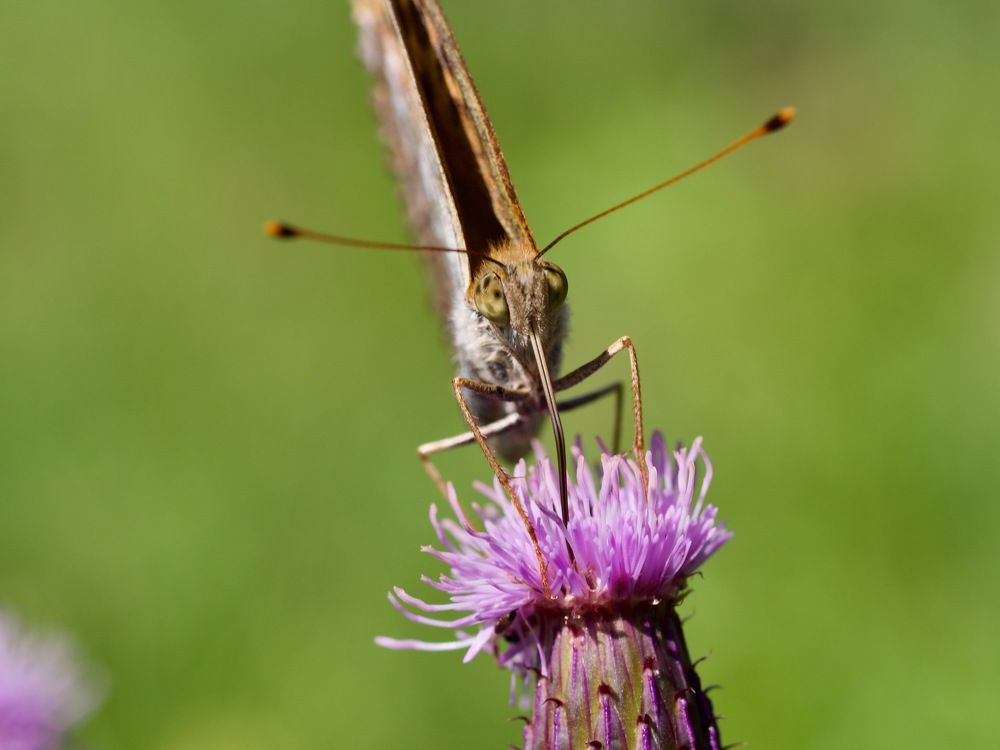 Photograph by Артем Харисов