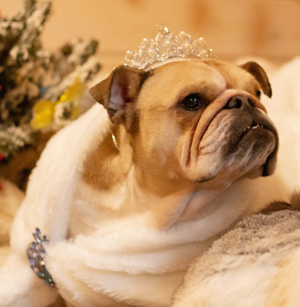 Photograph by Литвиненко Светлана