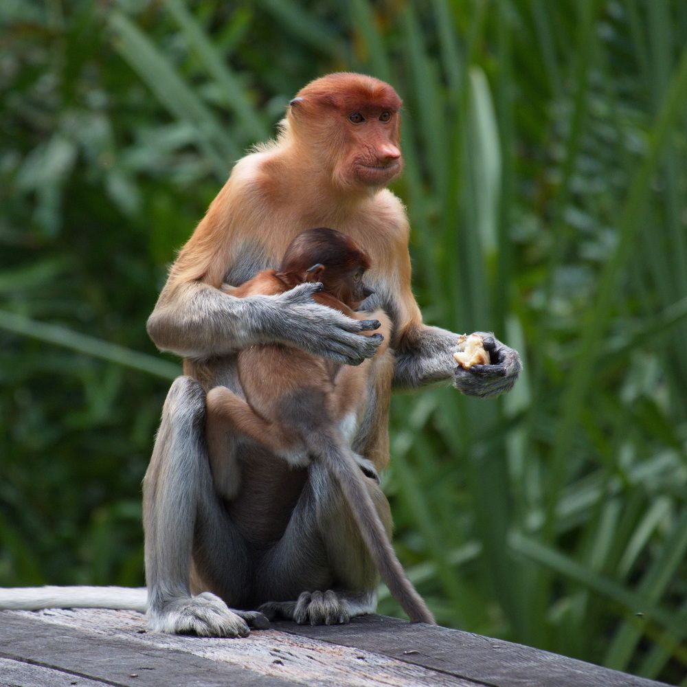Фотография автора Юрий Кольцов
