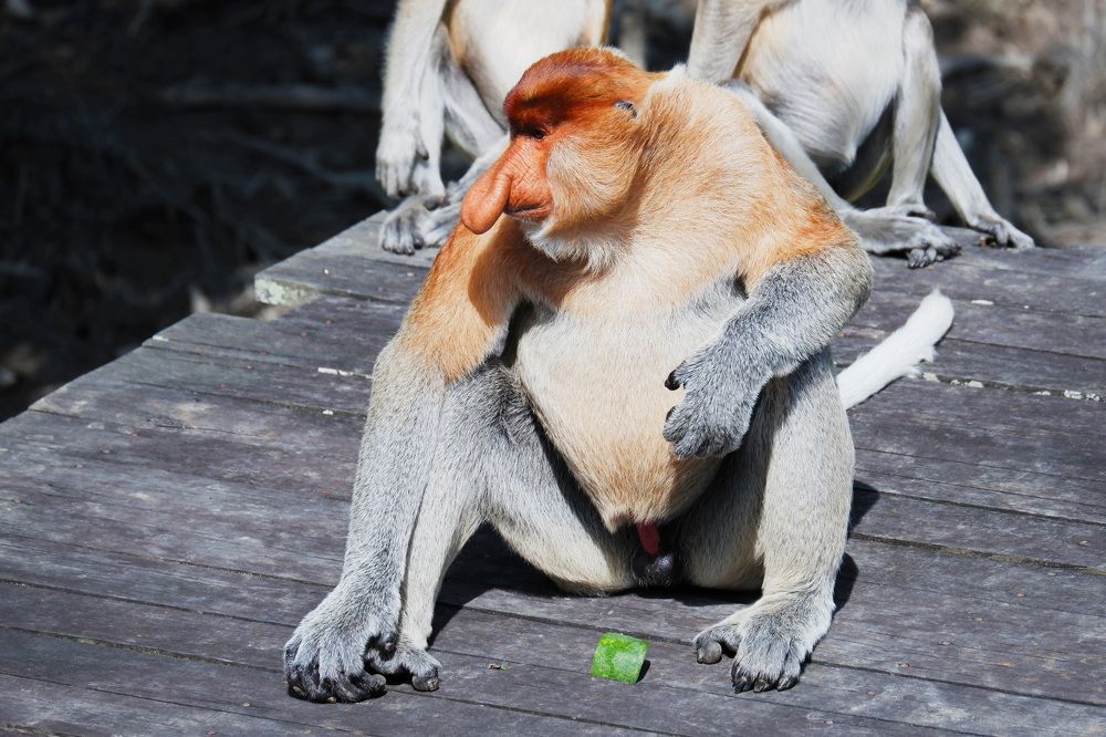 Фотография автора Юрий Кольцов