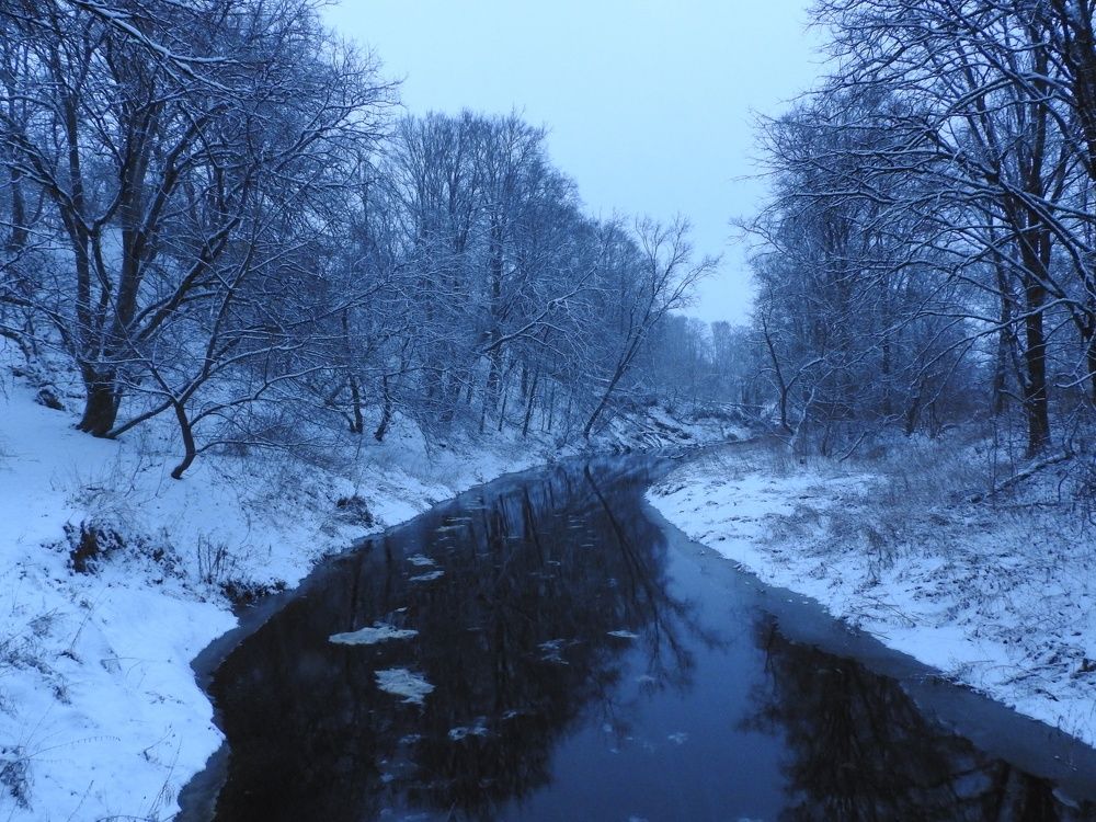 Фотография автора YURY RAMITSAN