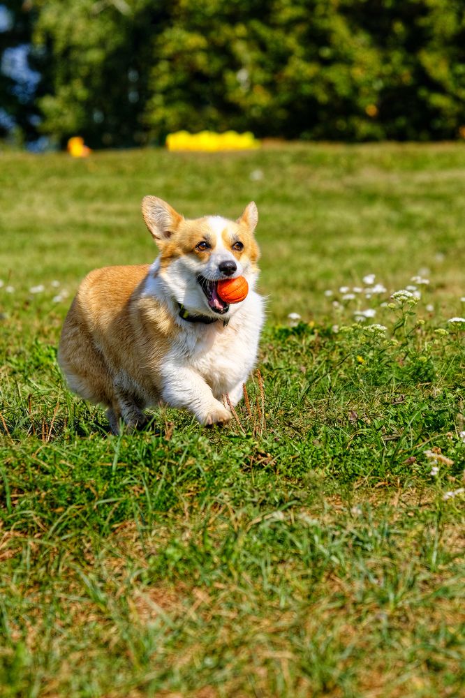 Photograph by Татьяна Глебова