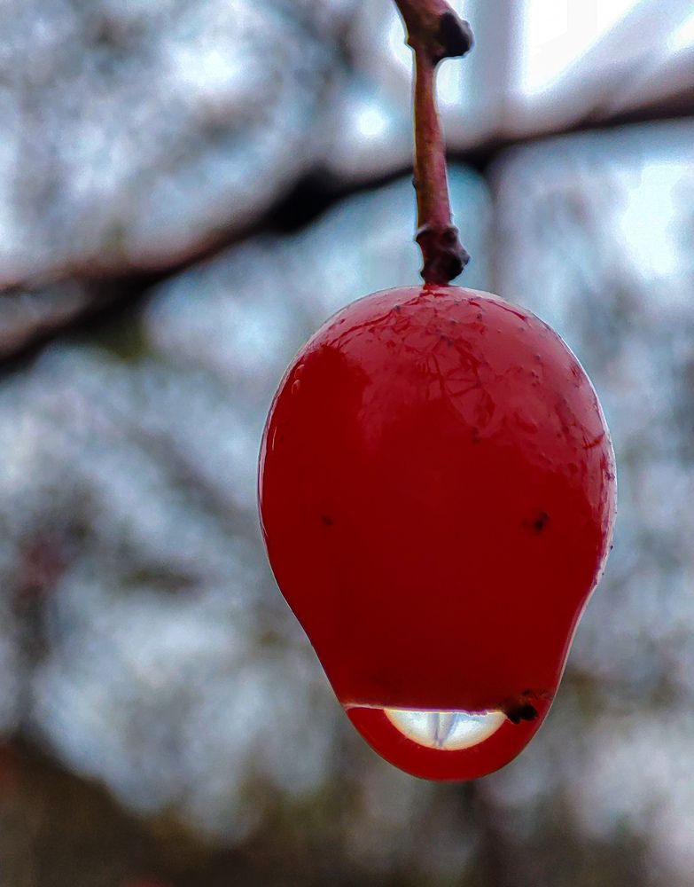 Фотография автора Александр Довганюк