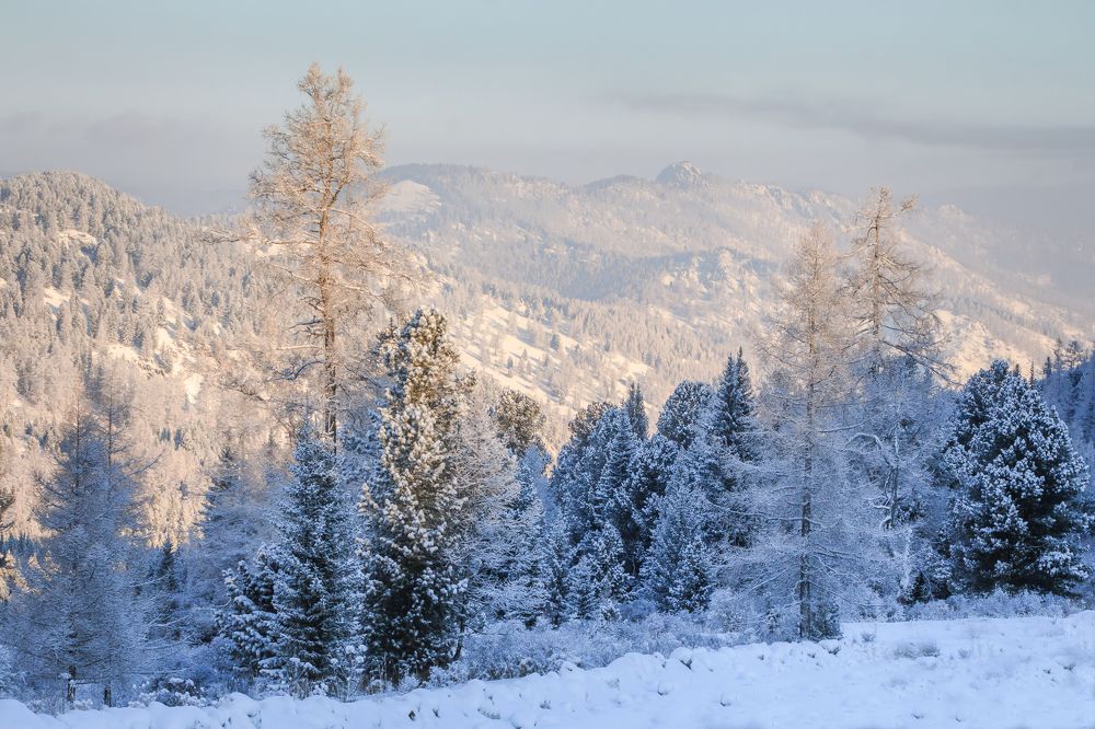 Зимний Алтай.