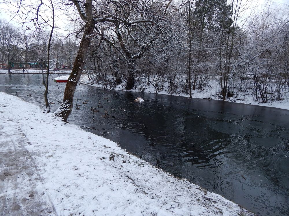 Photograph by Tanivsv