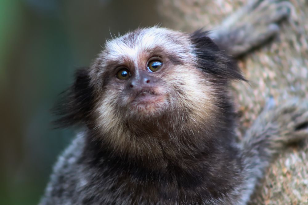 Photograph by Juliana