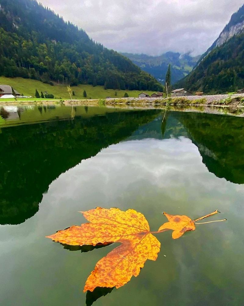 Photograph by Dmitrij Zykunov