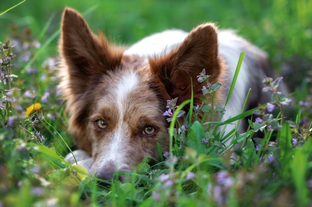 Photograph by Зубкова Юлия