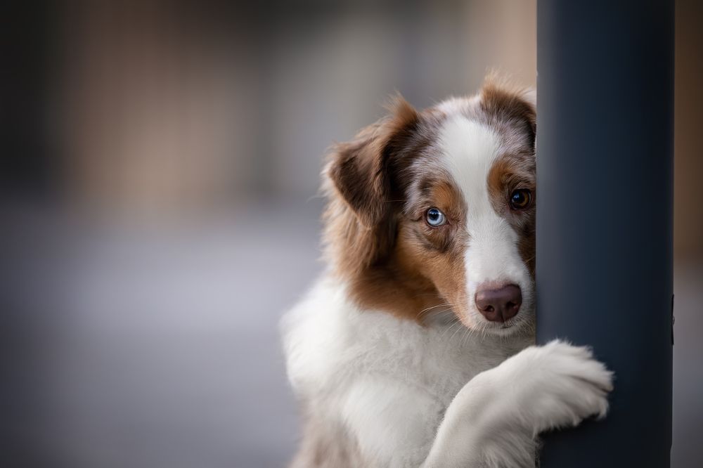 Photograph by Ирина Голомб