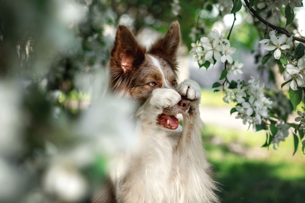 Photograph by Зубкова Юлия