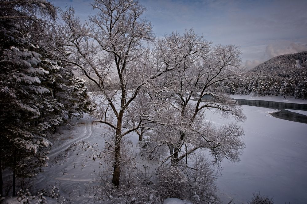 Photograph by Игорь Щербаков