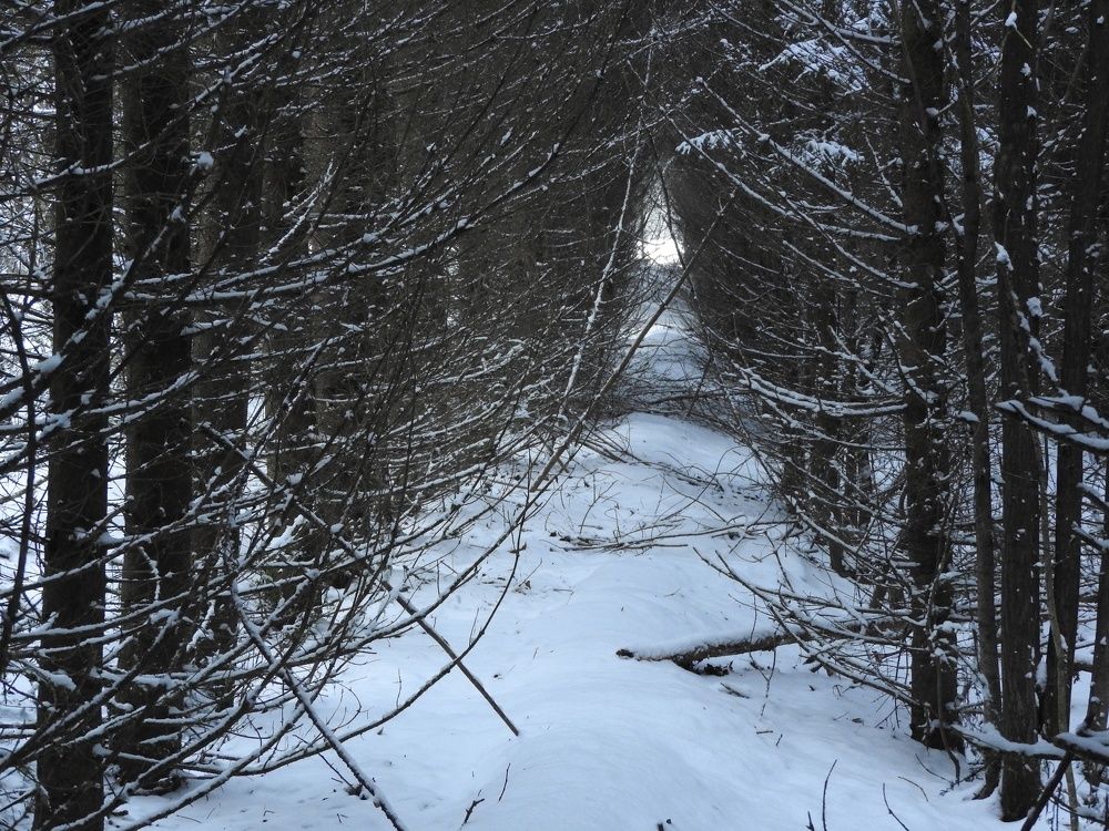 Фотография автора YURY RAMITSAN