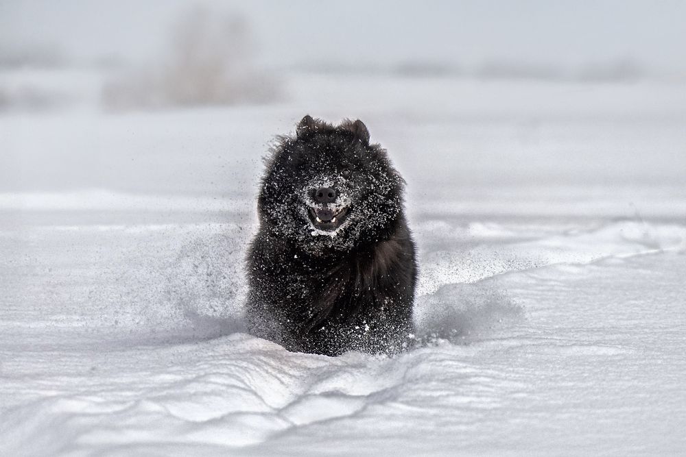 Photograph by Татьяна Тихомирова