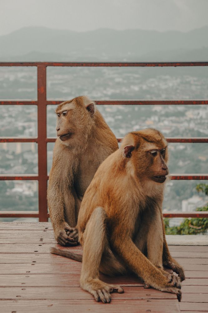 Фотография автора Таисия