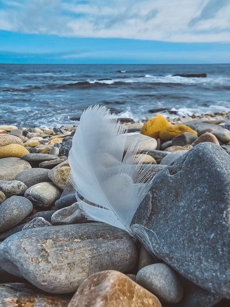 Баренцево море