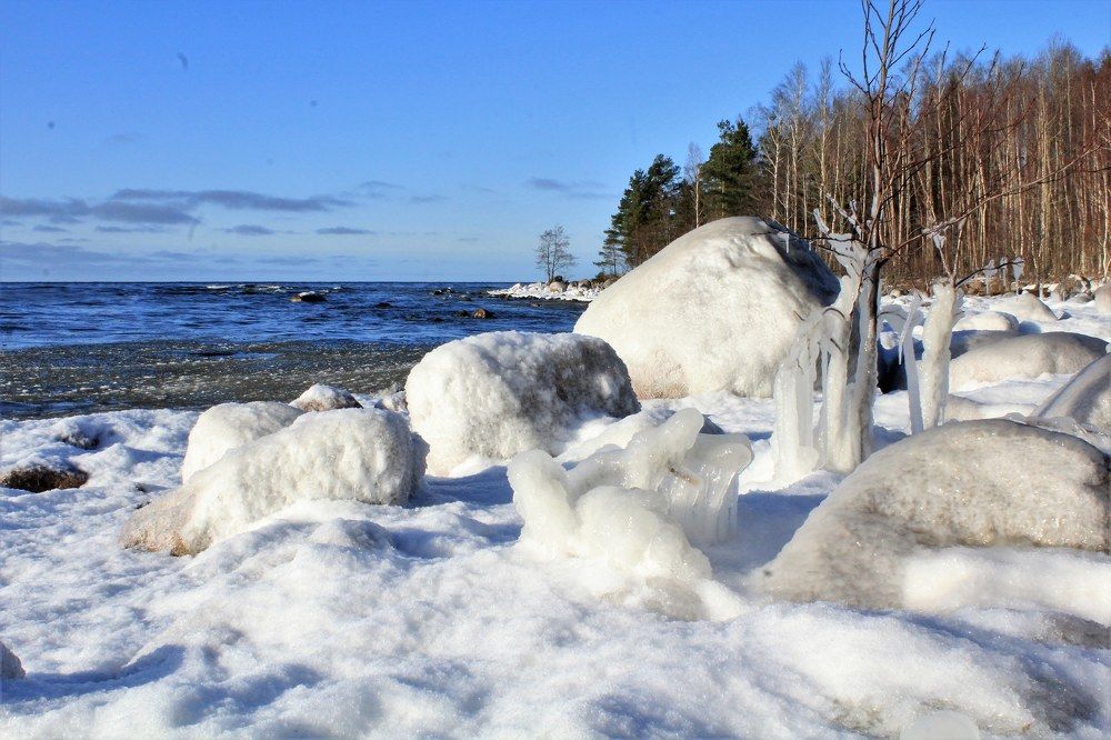 Photograph by Svetlana Gubanova